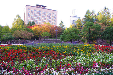 o0800053112739640698