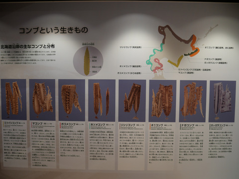 P1090111