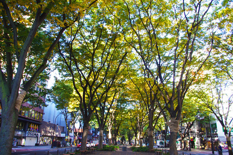 o0800053112739640701