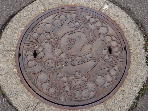 中札内村