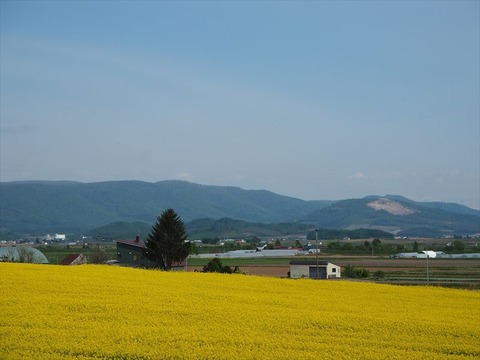 P5230006_R