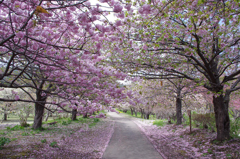 blog_import_58edaaea5ebf3