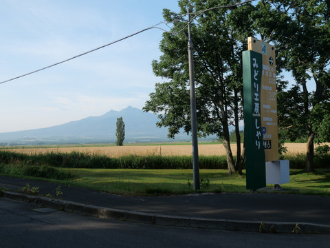 P1384352