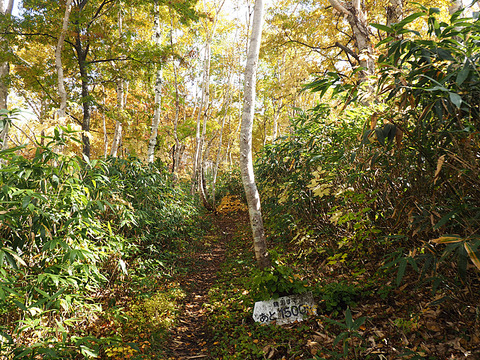 PA090501