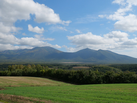 P1146777