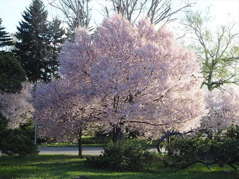 P5020891_R