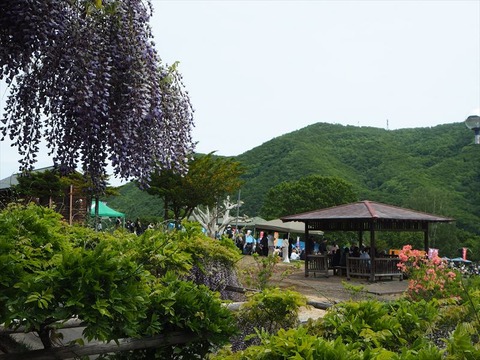 P6070466_R