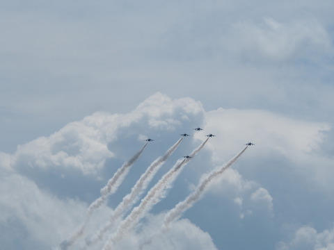 P5310382
