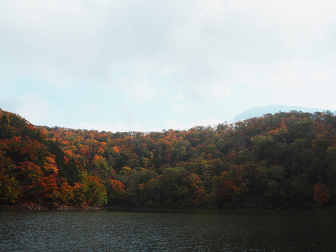 PA090455