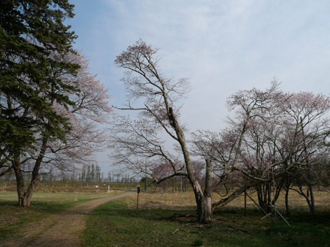 P1237703