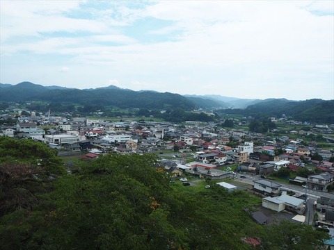 P8010451_R