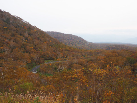 PA090699