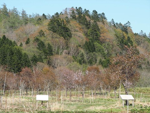 P5061143_R