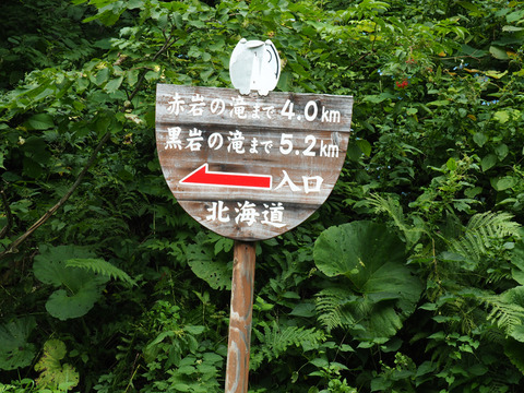 P8121153