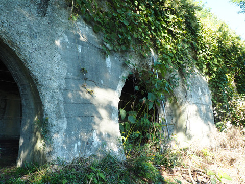 P9060459