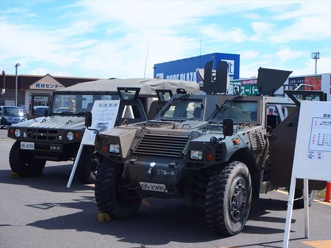 P8243283_R