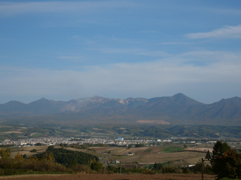 P1293834