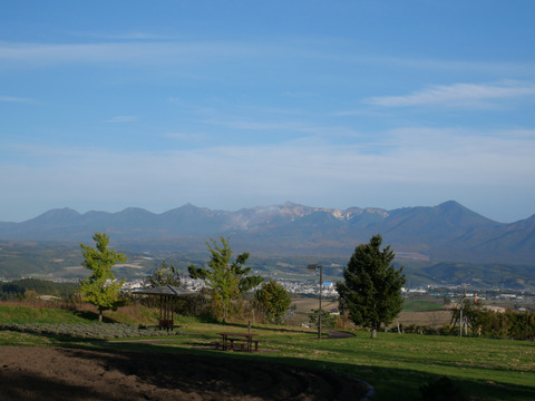 P1293839