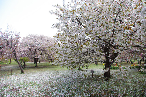 blog_import_58edaae97275c