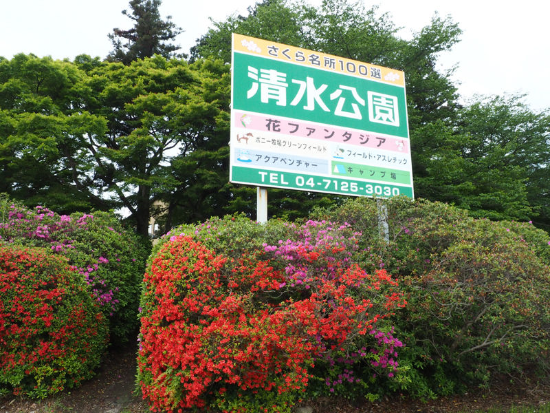 千葉県最大のツツジの名所 清水公園 北海道よりみち話 北海道の果てまで行ってみよう