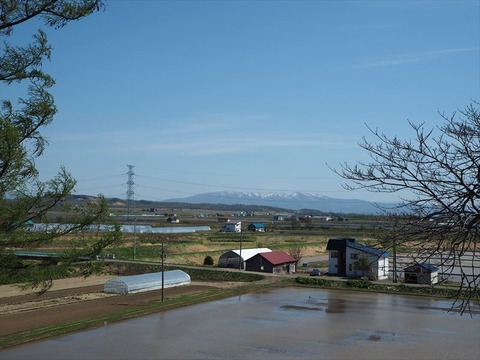 P5061129_R