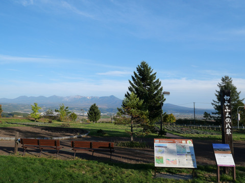 P1293838