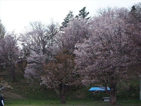P5020849_R
