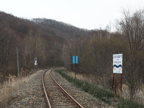 P4242839