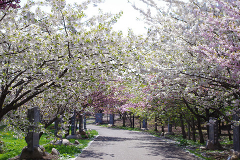 blog_import_58edaadba7080