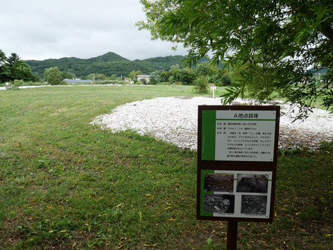 P1000228