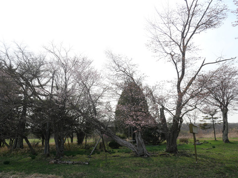 P1237697
