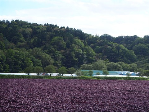 P8243320_R