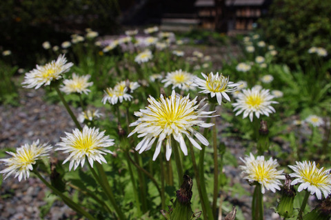 blog_import_58edaad95bb87