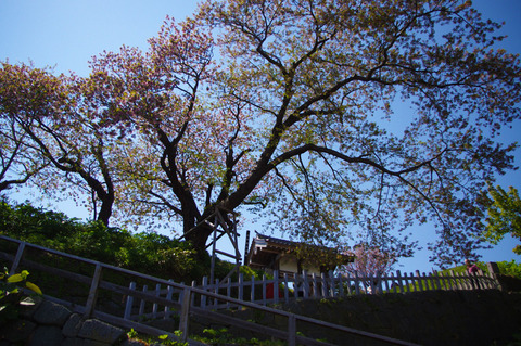 blog_import_58edaaee334ea