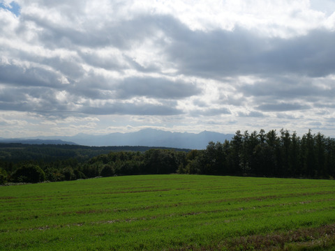 P1146778