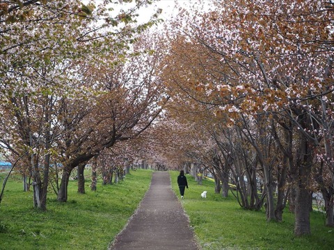 P5020881_R