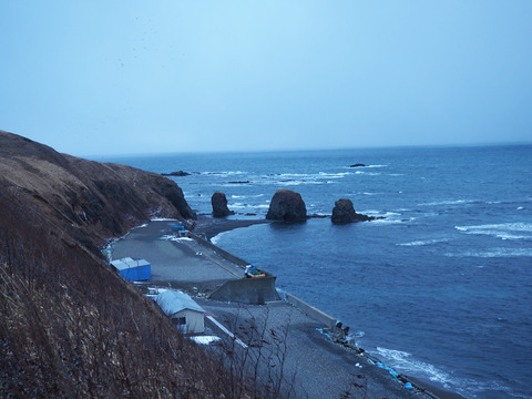 PC090135