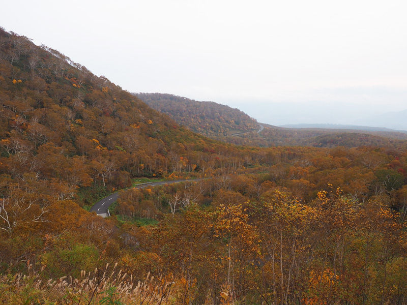 紅葉ドライブに最適 ニセコパノラマライン 北海道よりみち話 北海道の果てまで行ってみよう 紅葉ドライブに最適 ニセコパノラマライン 北海道よりみち話 北海道の果てまで行ってみよう