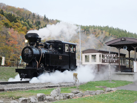 cf286c46-s.jpg