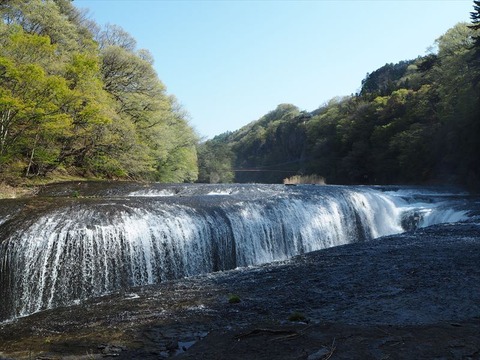 P4260246_R