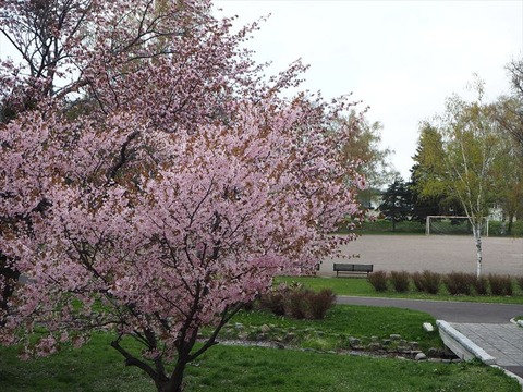 P5020866_R