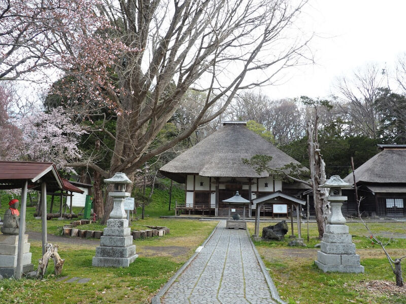 桜スポット 有珠山の噴火にも耐えた貴重な蝦夷三官寺の一つ 巨木に咲く石割桜は必見 有珠善光寺 北海道よりみち話 北海道の果てまで行ってみよう