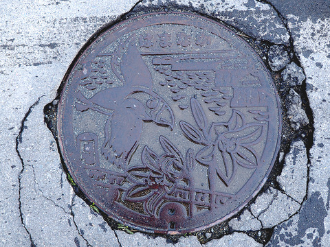 浜中町