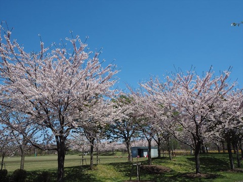 P5050958_R