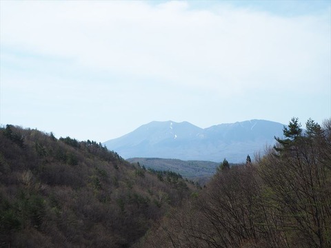 P4280578_R