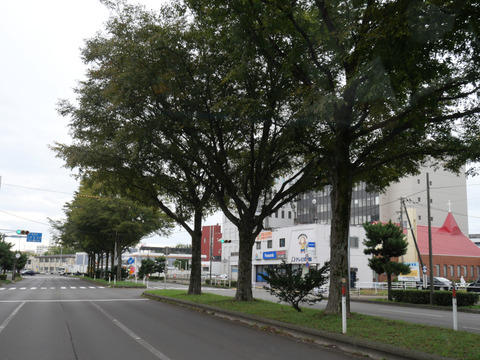 P1293029
