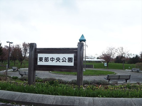P5020851_R