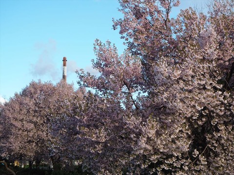 P5020909_R
