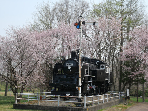 桜】旧標津川の自然に合わせて作られた公園！エゾシマリスなど野生動物
