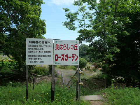 P1395513